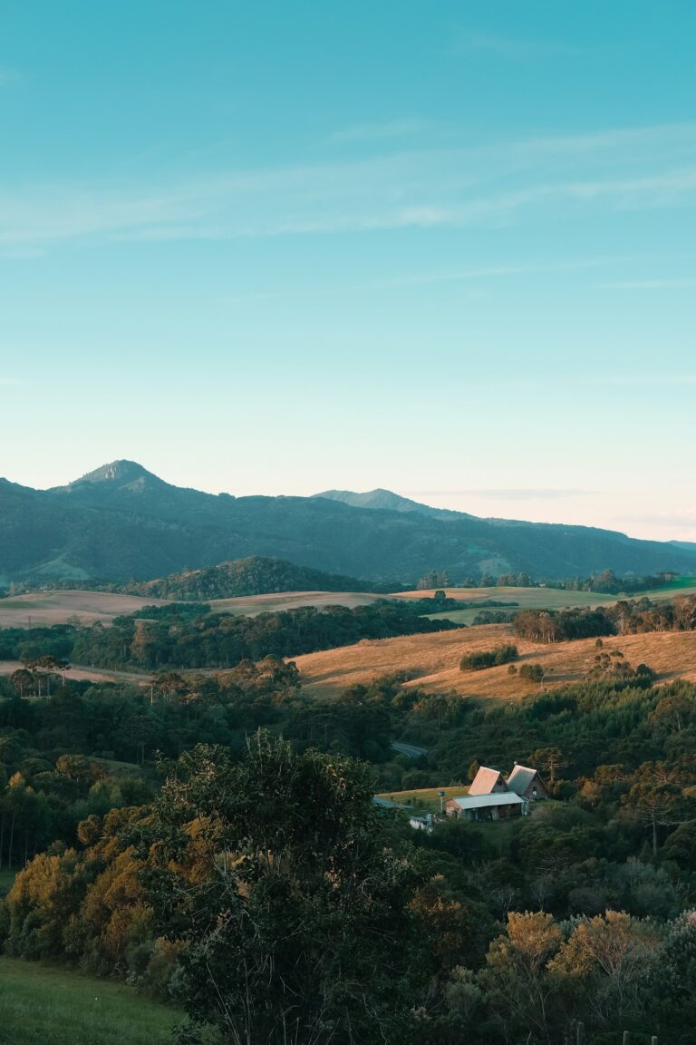 Die besten Melodien für Meditation und Entspannung