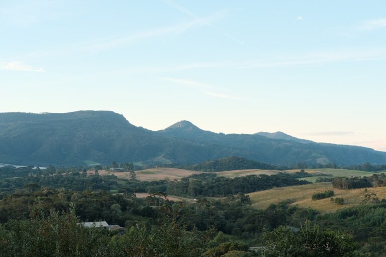 Die Wissenschaft hinter entspannenden Melodien